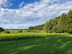 Wieselburg-Land, Austria - KriyaMandiram Ashram - 6